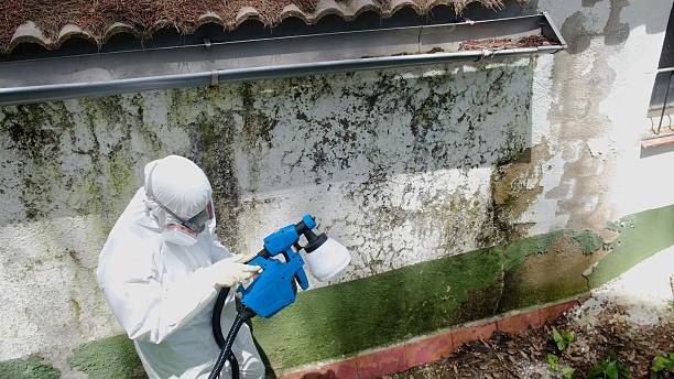 Trusted Commercial Mold Remediation service in Germantown, TN - Cheap Mold Removal